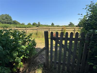 Picture 38